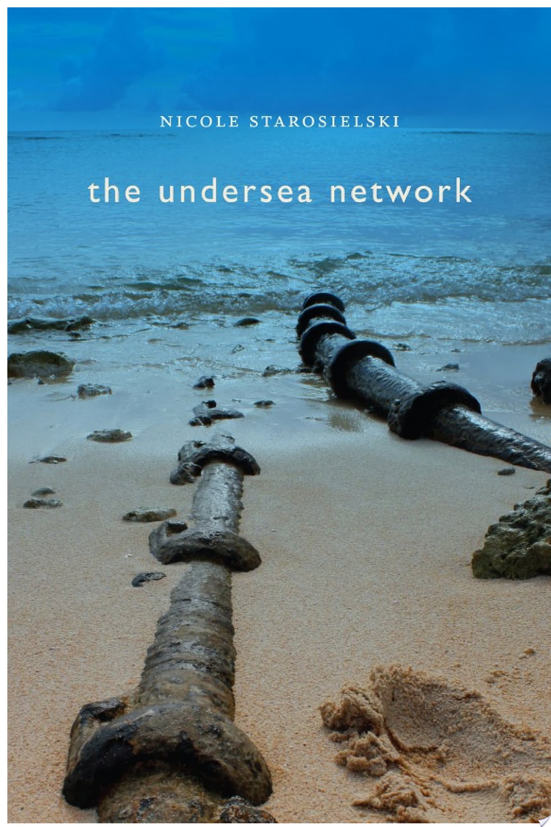 The Undersea Network
